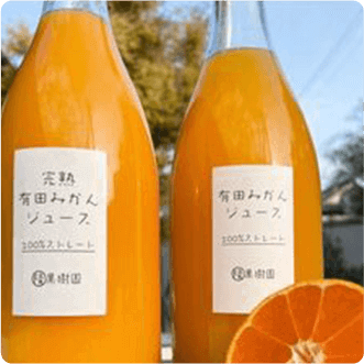 【2種飲み比べ】早生・越冬完熟有田みかん100%無添加ジュース2本セット